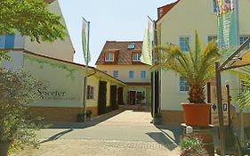 Hotel Speeter Weisenheim am Berg